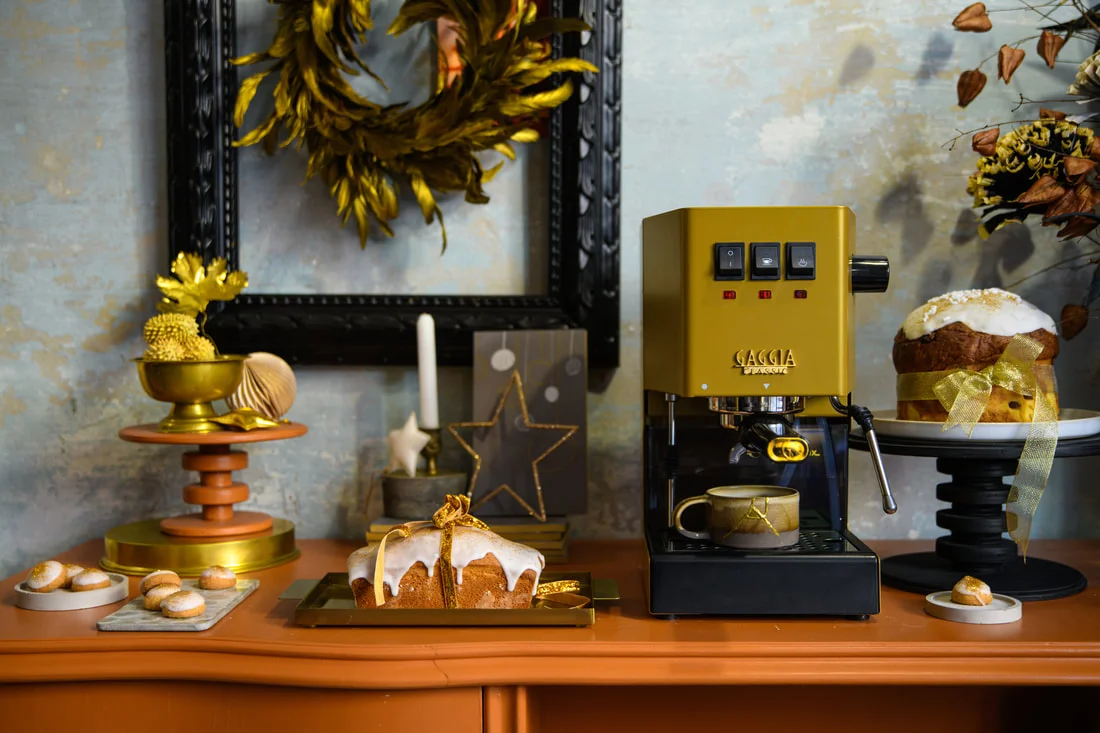 Gaggia Classic Pro Evo 2024 Semi-Automatic Espresso Machine